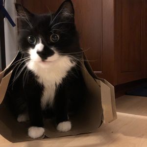 Meet your Posher, Daniel